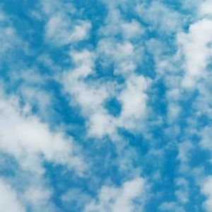 Meet your Posher, Alena